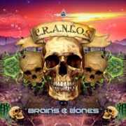 brains & bones - c.r.a.n.e.o.s