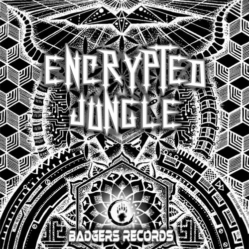 hightech psytrance music album for free - encrypted jungle - download wav now
