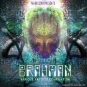 va - brahman - 2019 - valu records - psytrance music album